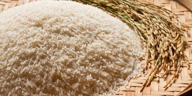 Food subsidy